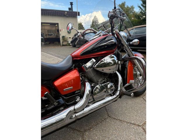 honda - vt-750-c2-shadow-ace