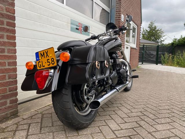 triumph - speedmaster