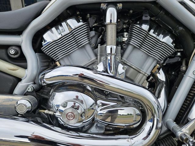 harley-davidson - v-rod-vrsca