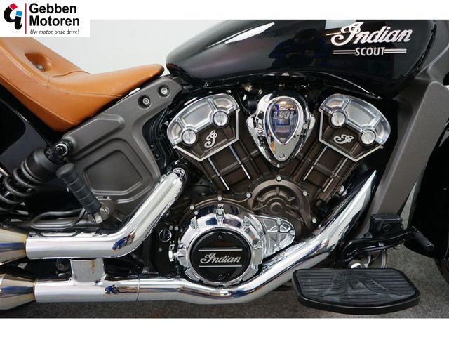 indian - scout