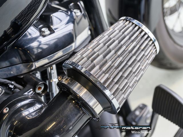 harley-davidson - softail-slim-fls