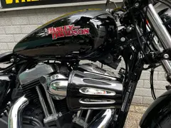 Harley-Davidson Sportster Forty-Eight XL 1200 X 2015 occasion – foto 9 van 20