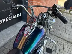 Harley-Davidson Flstc Softail Heritage Classic 2009 occasion – foto 10 van 12