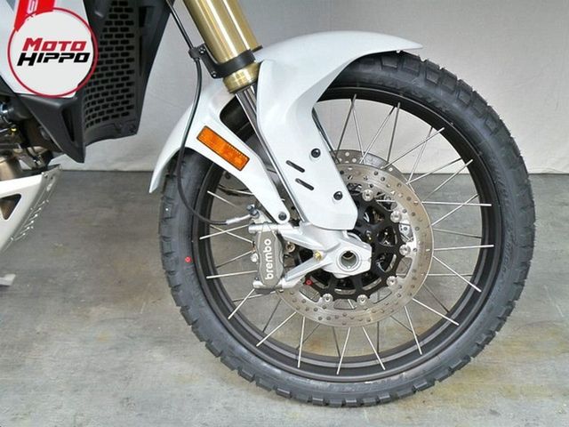 ducati - desertx