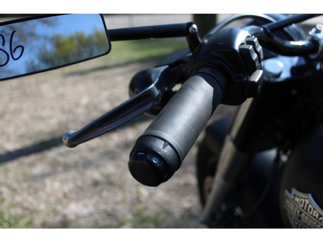 harley-davidson - softail-slim