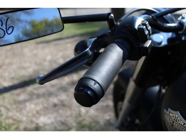 harley-davidson - softail-slim