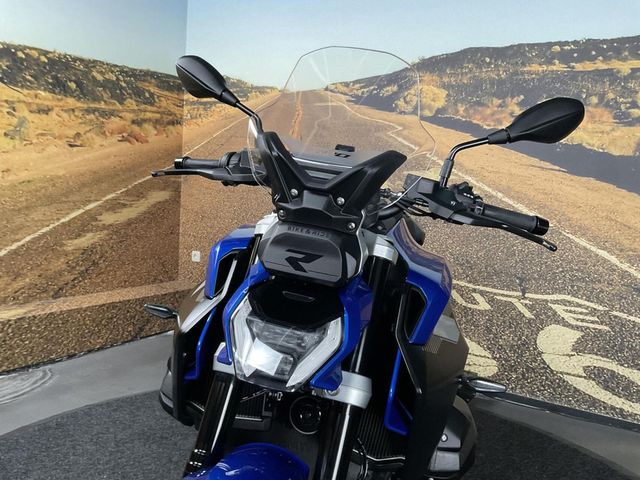 bmw - r-1300-r