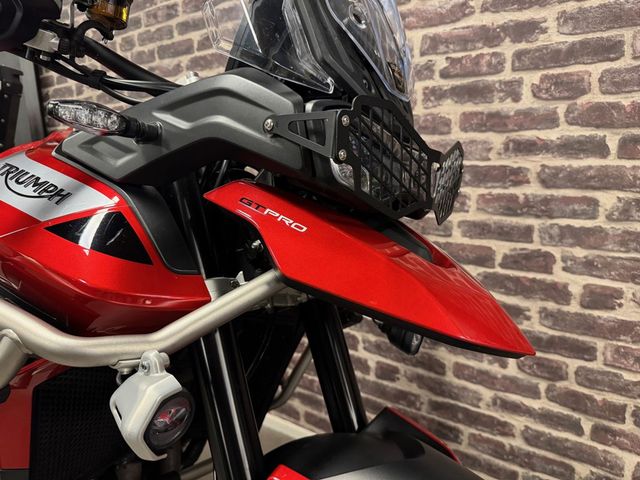 triumph - tiger-900-gt-pro