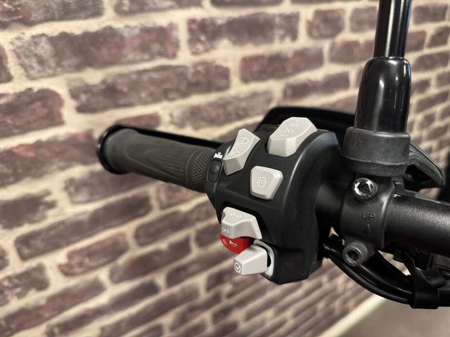 triumph - tiger-900-gt-pro