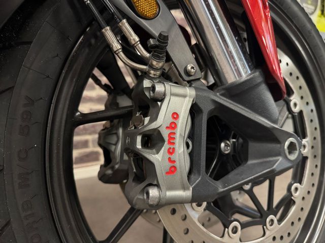 triumph - tiger-900-gt-pro