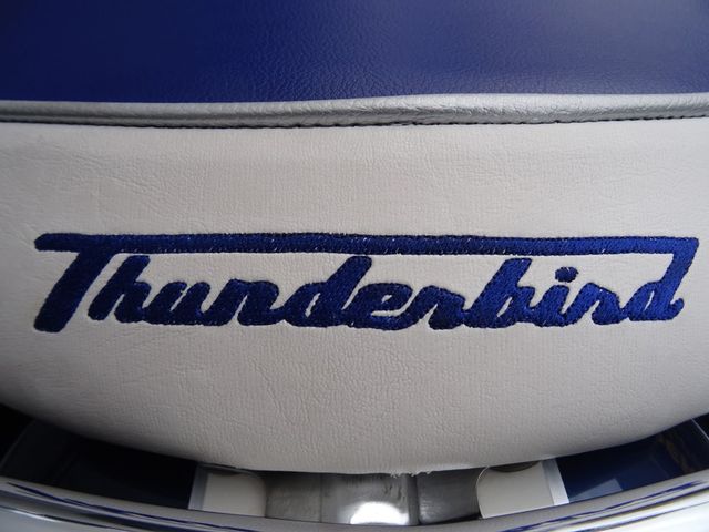 triumph - thunderbird