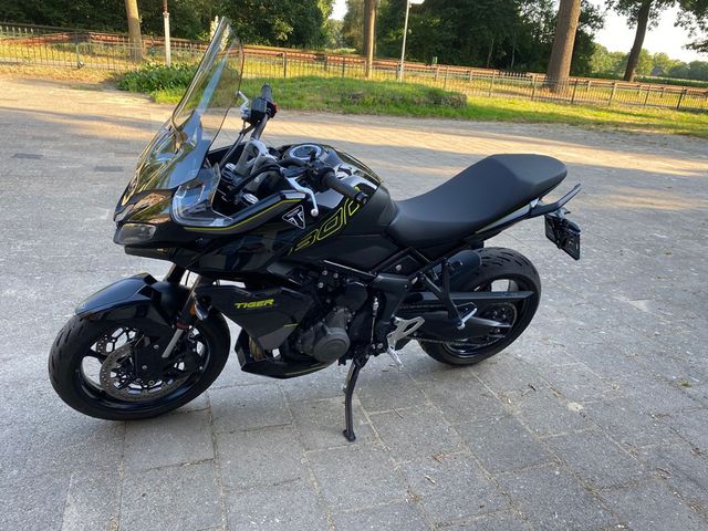 triumph - tiger-800-sport