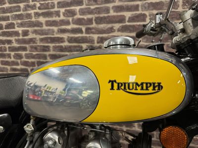 TRIUMPH TR5T TROPHY TRAIL – foto 3