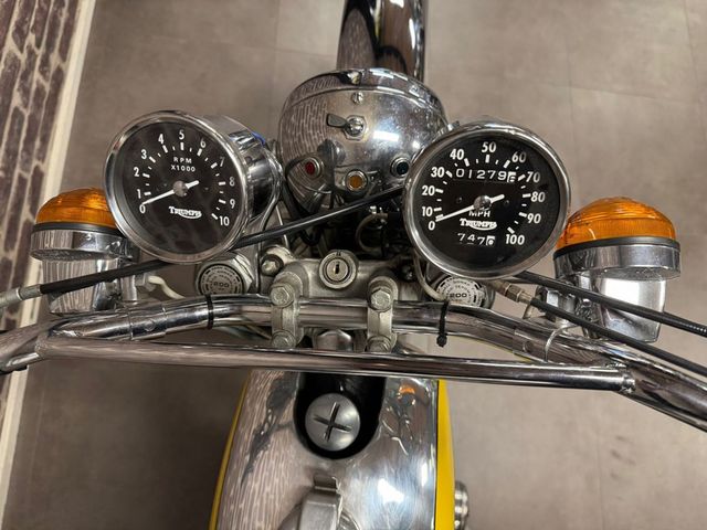 triumph - tr5-trophy