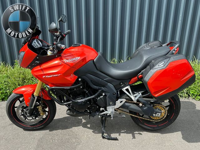 triumph - 955-i-tiger