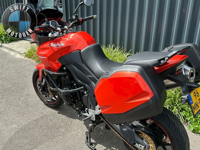 triumph - 955-i-tiger