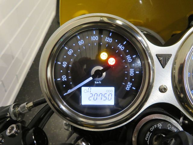 triumph - street-cup