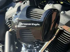 Harley-Davidson Fxbb Softail Street Bob Solid Colour 2019 occasion – foto 11 van 12