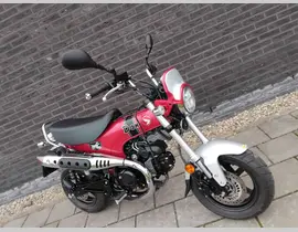 Honda ST 125 DAX 2024 occasion