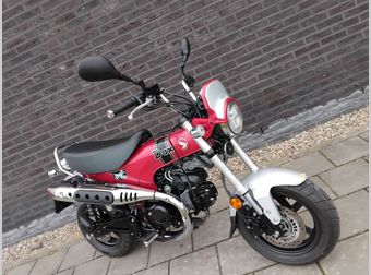 Honda ST 125 DAX 2024 occasion