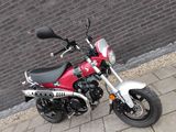 HONDA ST 125 DAX