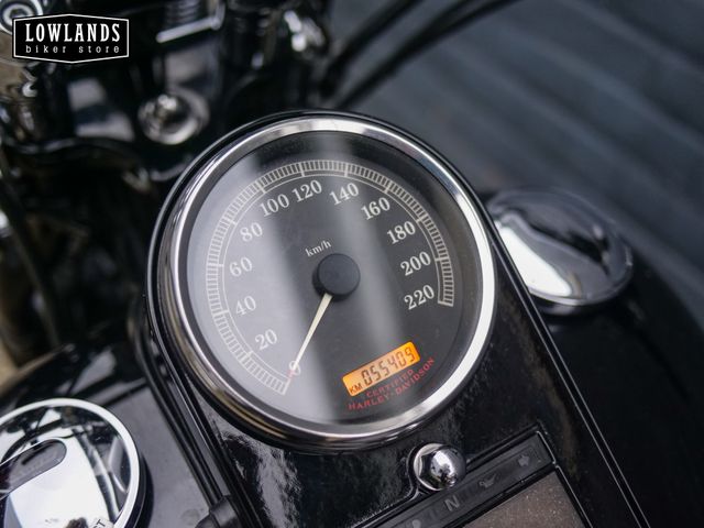 harley-davidson - springer-flsts-softail