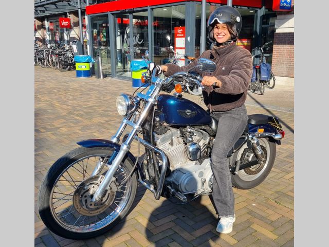 harley-davidson - sportster