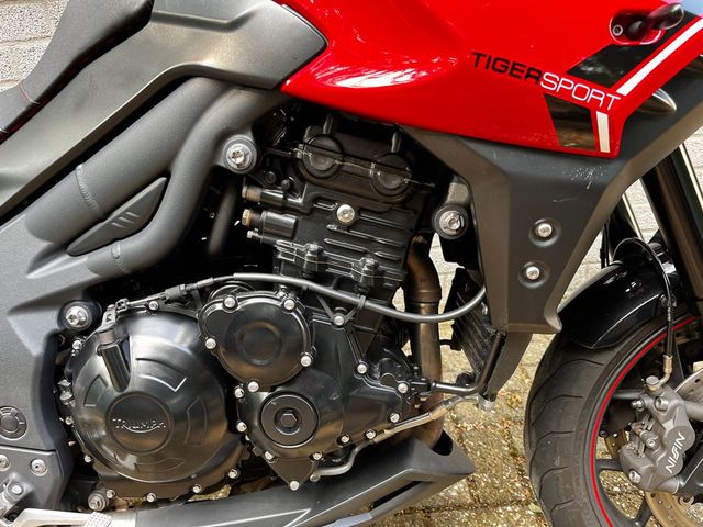 triumph - tiger-1050-sport