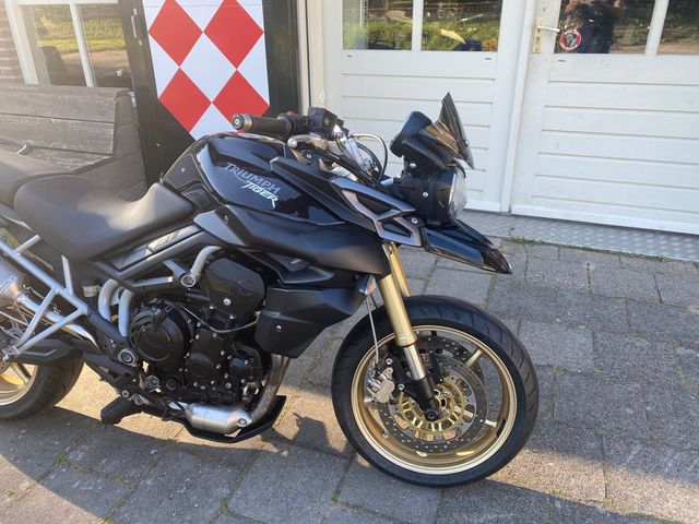 triumph - tiger-800-sport