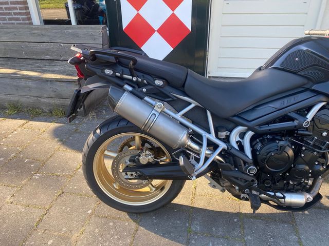 triumph - tiger-800-sport