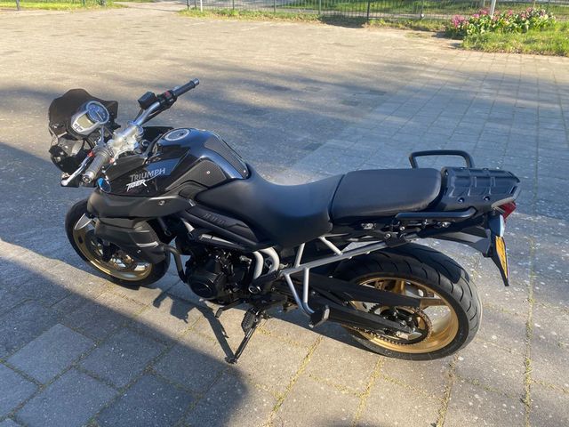 triumph - tiger-800-sport