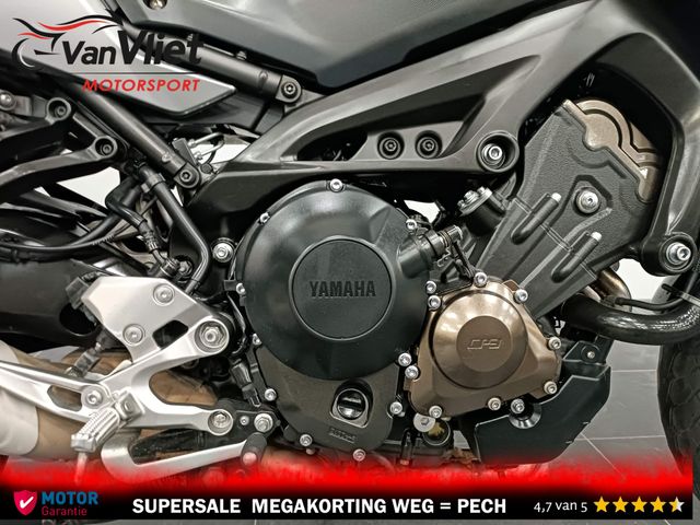 yamaha - tracer-900-gt