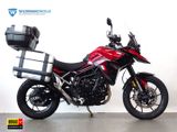 TRIUMPH TIGER 900 GT