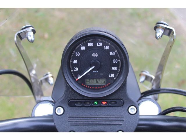 harley-davidson - sportster-roadster-xl-883