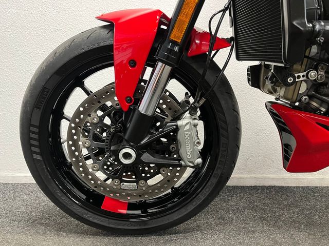 ducati - monster