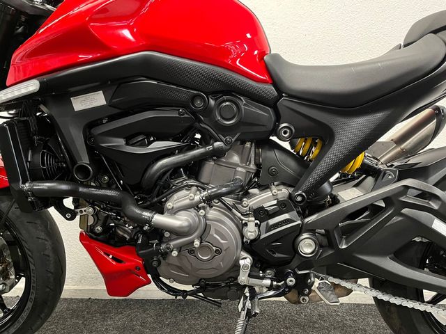 ducati - monster