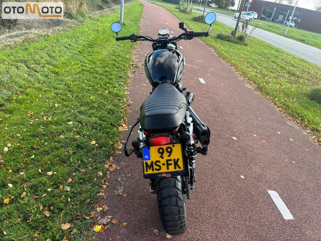 triumph - scrambler-900