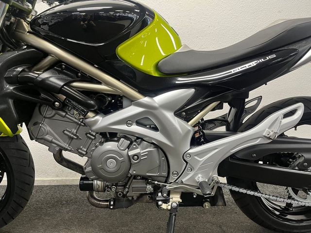 suzuki - gladius