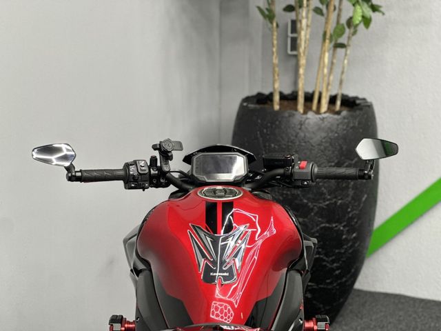 kawasaki - z900-performance