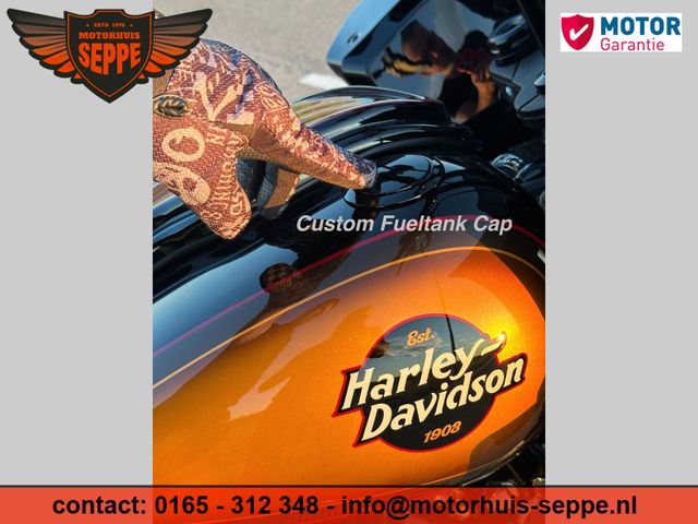 harley-davidson - low-rider-s-fxlrs-114