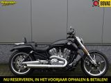 HARLEY-DAVIDSON V-ROD MUSCLE VRSCF