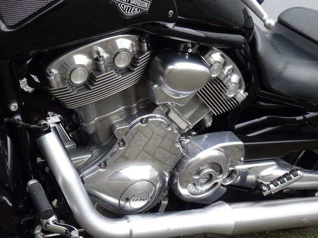 harley-davidson - v-rod-muscle-vrscf