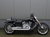 HARLEY-DAVIDSON V-ROD MUSCLE VRSCF
