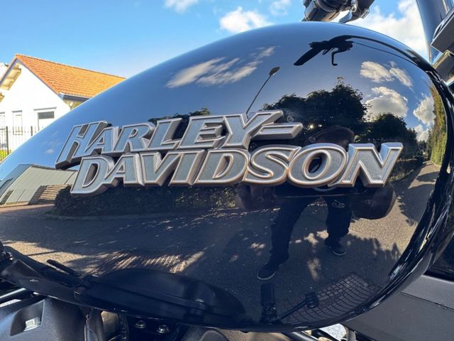 harley-davidson - softail-street-bob