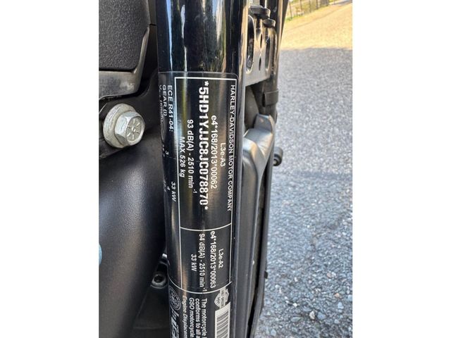 harley-davidson - softail-street-bob