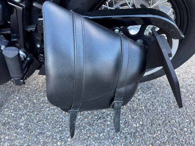 harley-davidson - softail-street-bob