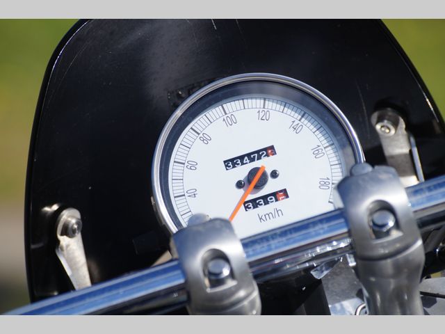 triumph - speedmaster