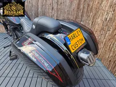 Harley-Davidson LOW Rider ST Fxlrs 117CI 2022 occasion – foto 22 van 24