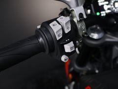 Ducati Monster + | Termignoni 2022 occasion – foto 17 van 23
