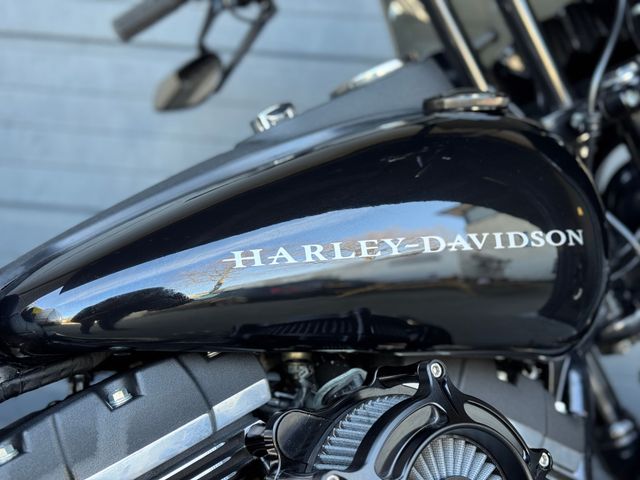 harley-davidson - street-bob-fxdb